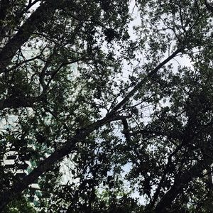 Meet your Posher, Rylee